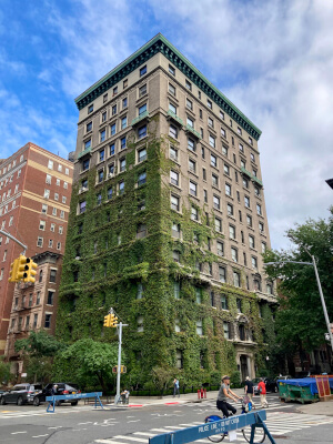 upper west side manhattan building covered in vines